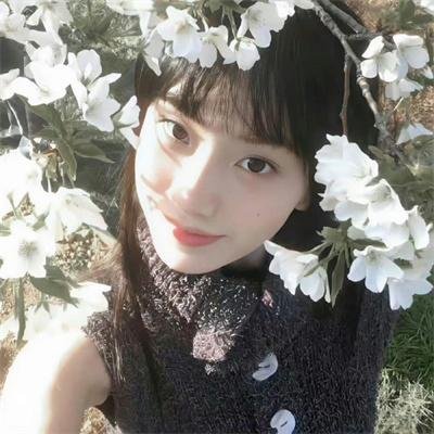 一本正经
